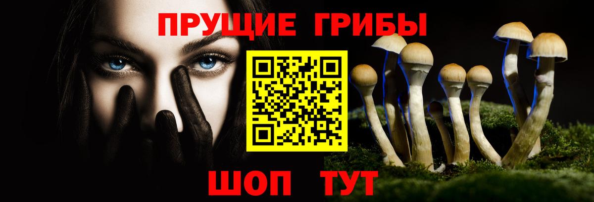 Ейск  Псилоцибиновые грибы Magic Shrooms  Вход с VPN 