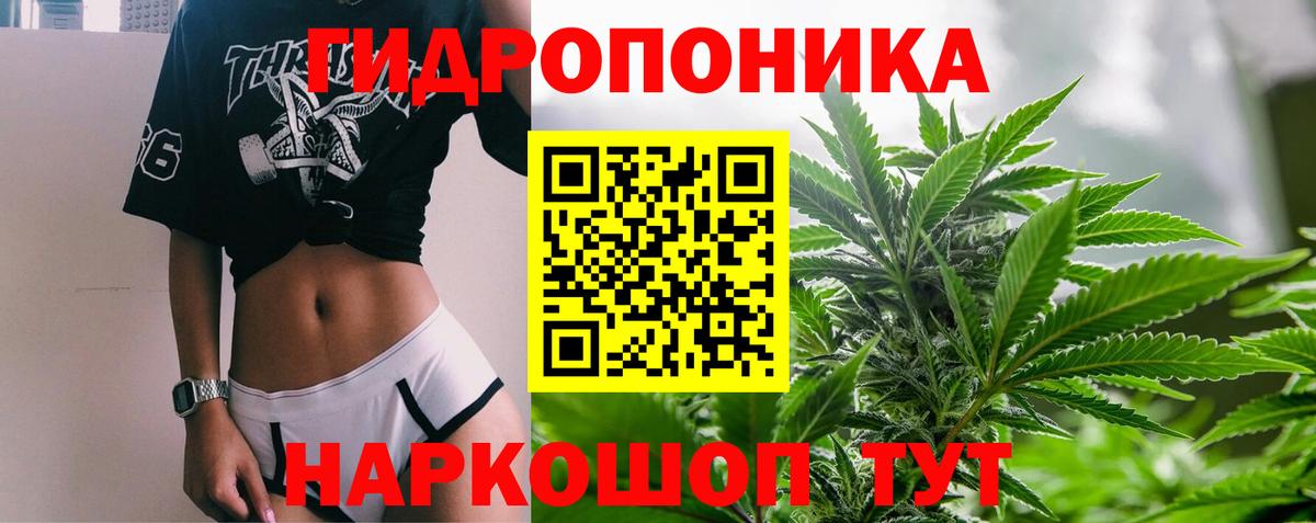 Конопля VHQ  Бошки марихуана тримм  Ейск  Каннабис конопля  Каннабис гибрид  Вход с VPN 